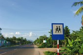 IMG_5882