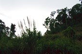IMG_6107