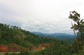 IMG_6123