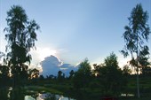IMG_6286