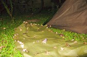 IMG_6312