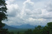 IMG_6324