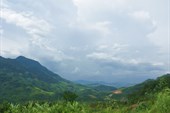 IMG_6328