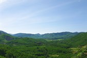 IMG_6337