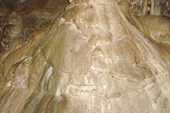 DSC08649