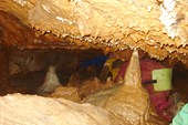 DSC08734