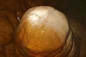 DSC08882