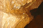 DSC08906