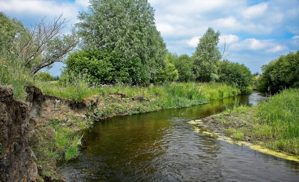 Река дурная