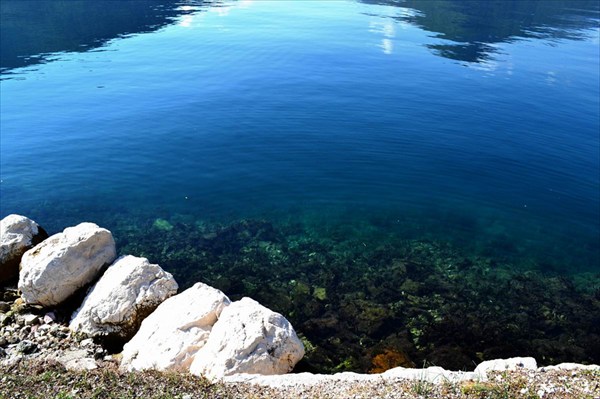 Говорят, что в Боке Которской не совсем чистая вода ...