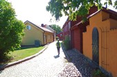 DSCN5100