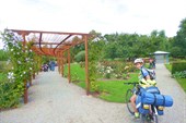 DSCN5184