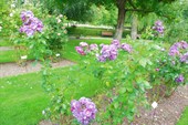 DSCN5187