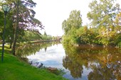 DSCN5199