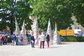 DSCN5205