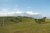 IMG_2947