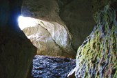 IMG_3009