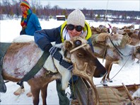 Настоящий домашний олень!