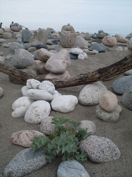 Каменный сад на побережье в Сухуме