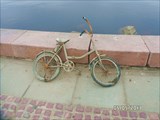 SAM_8625