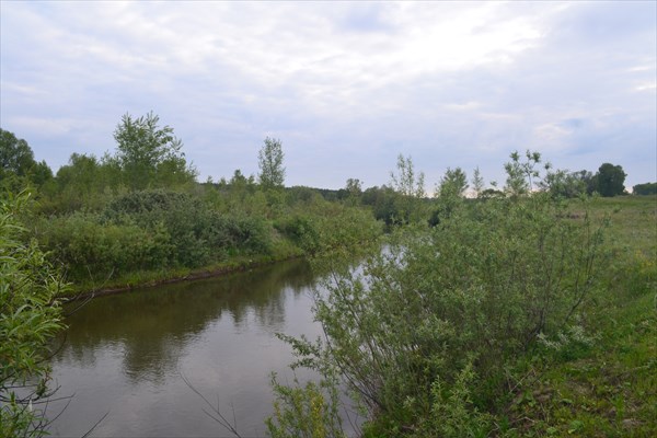 Лосиха