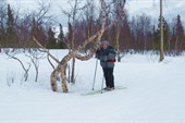 В городском парке