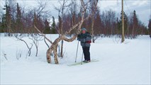 В городском парке