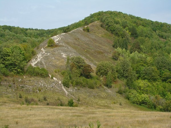 Гора белая Самарская лука