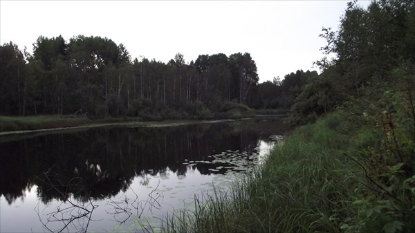 Речка Уница. Вид с моста