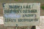 Зарабатывать же надо! 50 руб - пакетик корма...А дальше что?