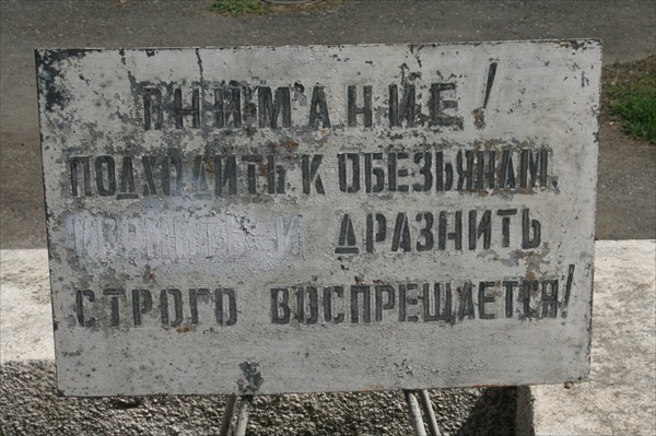 Зарабатывать же надо! 50 руб - пакетик корма...А дальше что?