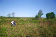 Стоянка в поле