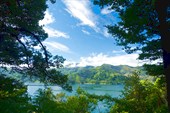 Вид на изрезанный островами залив Marlborough Sounds