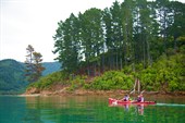 Морской каякинг по заливу Kenepuru Sound