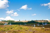 _MG_6596