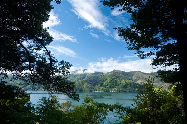 Вид на изрезанный островами залив Marlborough Sounds 