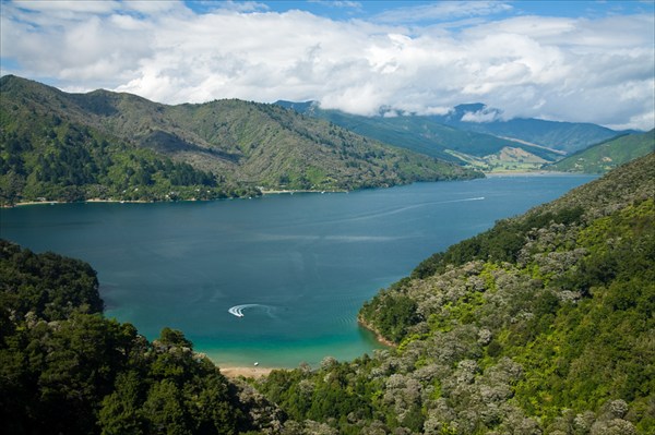 Вид на изрезанный островами залив Marlborough Sounds 