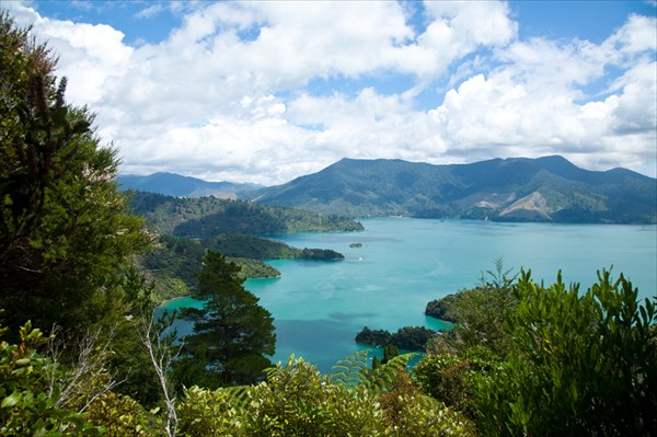 Вид на изрезанный островами залив Marlborough Sounds 