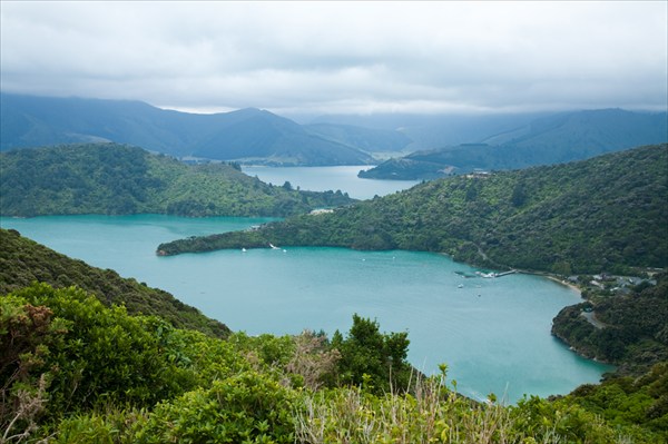 Вид на изрезанный островами залив Marlborough Sounds 