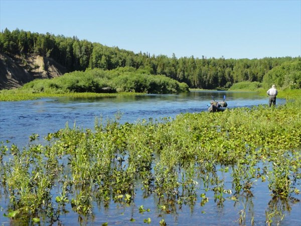 Бечевник.