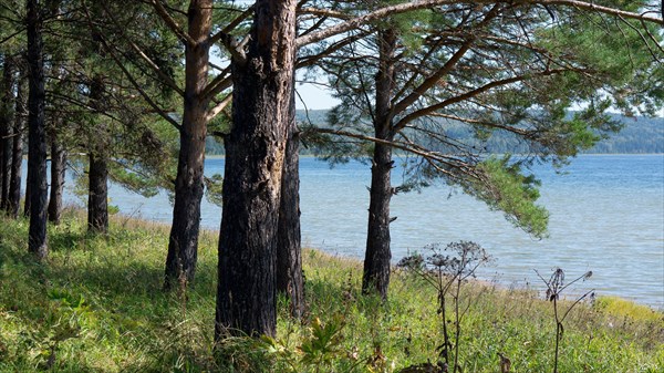 Ангара у притока р. Погромная