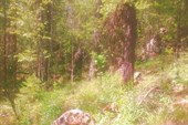 IMG_20210707_141954