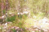 IMG_20210707_143906