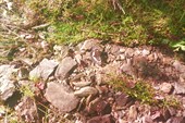 IMG_20210708_084253