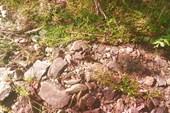 IMG_20210708_084255