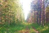 IMG_20210708_091014