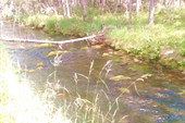 IMG_20210708_144752