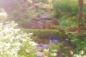 IMG_20210708_161258
