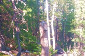 IMG_20210708_165600