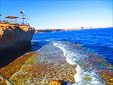 Sharm Reef Beach (Шарм-эль-Шейх)